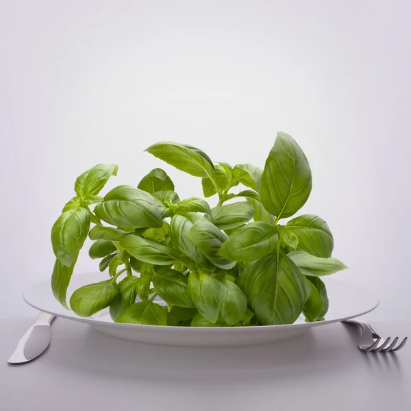 Sweet basil leaves on plate. Stock Images Page Everypixel