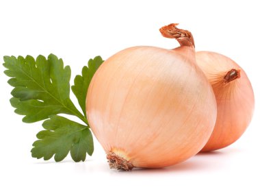 soğan sebze ampul ve maydanoz yaprakları natürmort