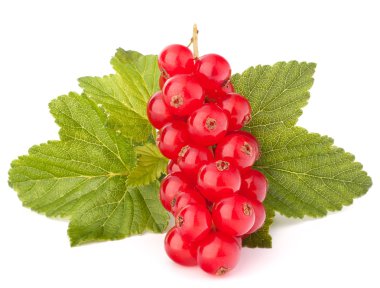 Kırmızı kuş üzümü ve yeşil yaprakları natürmort