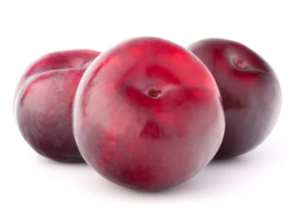 Fructe de prune coapte — Fotografie, imagine de stoc