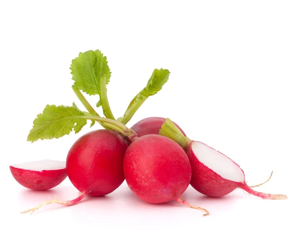 Small garden radish — Stock Photo, Image