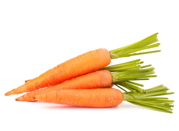Морковный овощ с листьями — стоковое фото