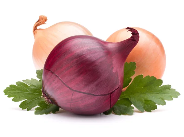 Onion vegetable bulb and parsley leaves still life — Stock Photo, Image