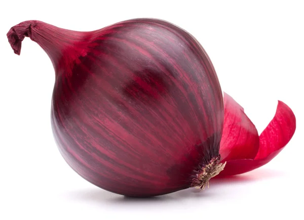 Red onion bulb — Stock Photo, Image