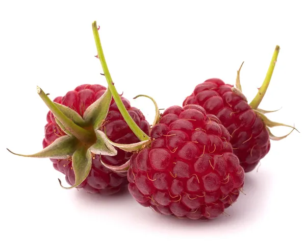 Reife Himbeeren — Stockfoto