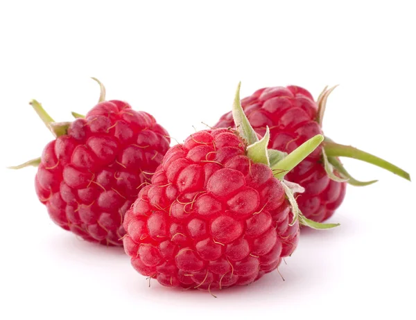 Reife Himbeeren — Stockfoto