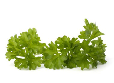 maydanoz herb