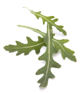 tatlı rucola salata veya roket marul yaprakları