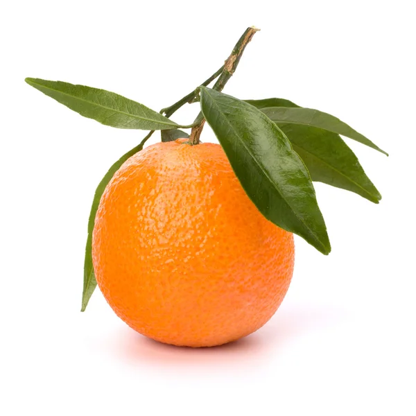 Tangerine i — Stock Photo, Image