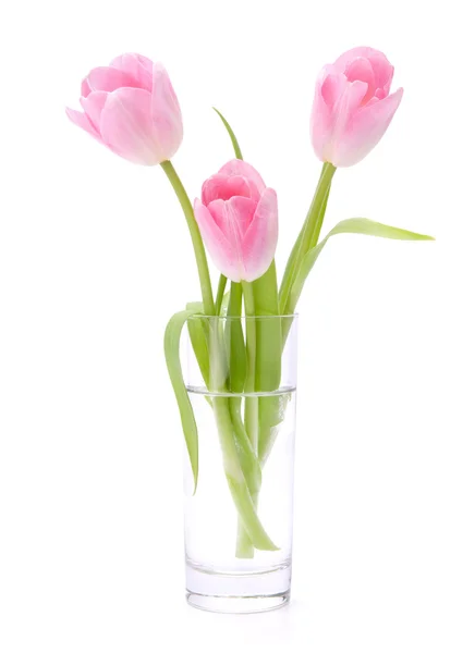 Pink tulips bouquet in vase isolated on white background — Stock Photo, Image