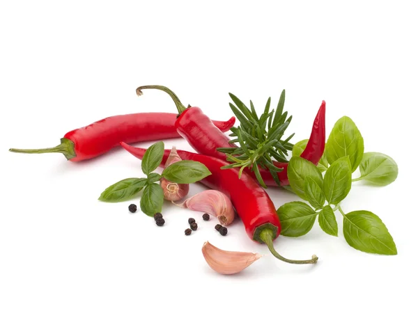 Chili pepper and flavoring herbs — Stock Photo, Image