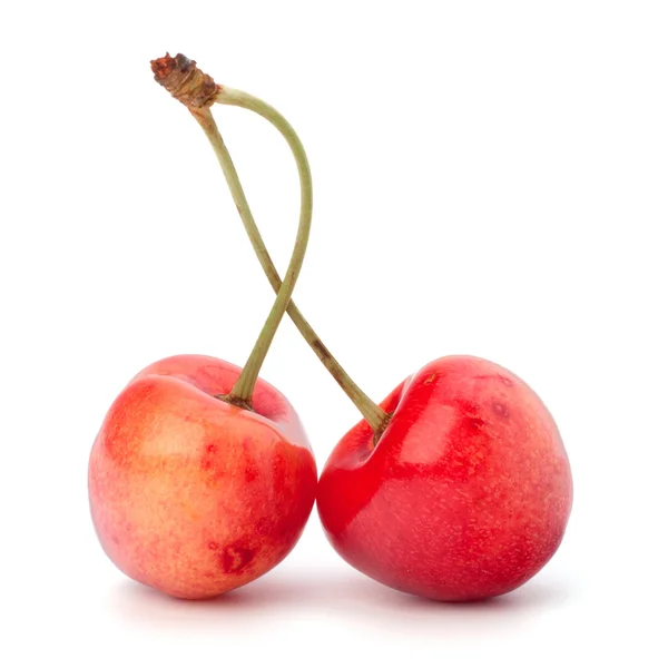 Два вишнею ягоди — стокове фото