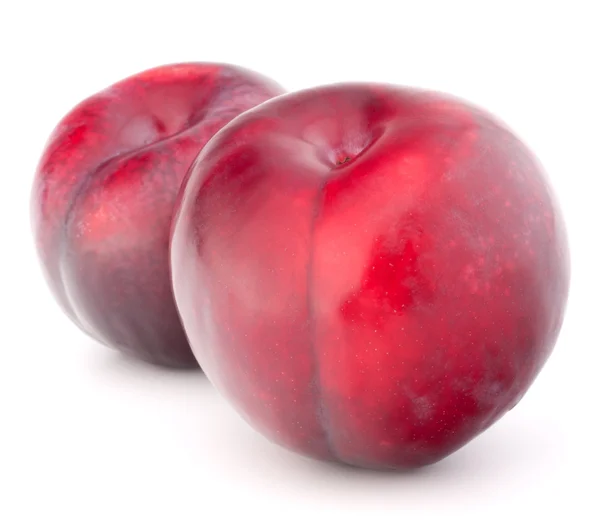 成熟的李子水果 — 图库照片