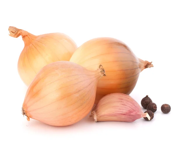 Onion and garlic clove — Stock Photo, Image