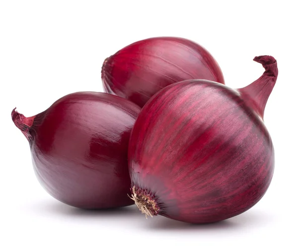 Red onion bulb — Stock Photo, Image