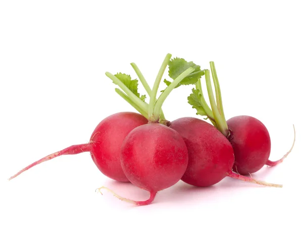 Small garden radish — Stock Photo, Image