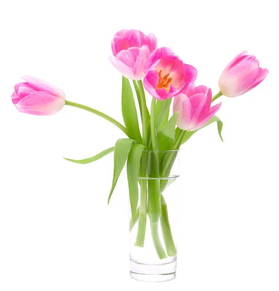 Rosa tulpaner bukett i vas isolerad på vit bakgrund — Stockfoto