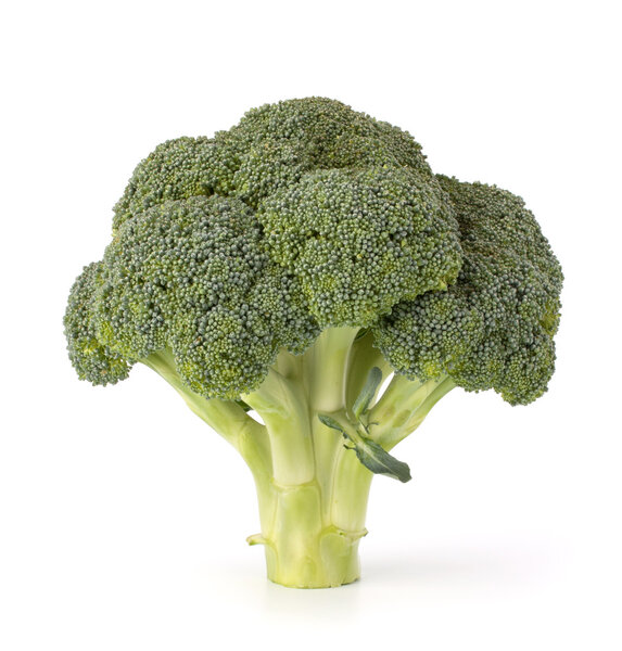 Broccoli vegetable