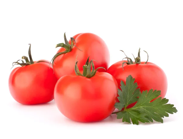 Folhas de tomate e salsa — Fotografia de Stock