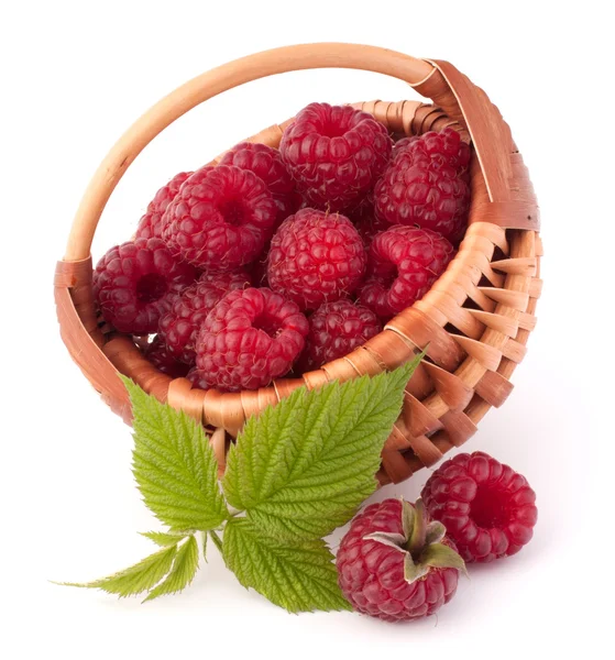 Ripe raspberries in basket — Stock Photo, Image