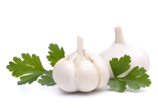 Garlic bulb — Stock Photo, Image