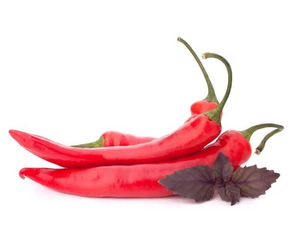 Chile rojo picante o chile y albahaca deja bodegón —  Fotos de Stock