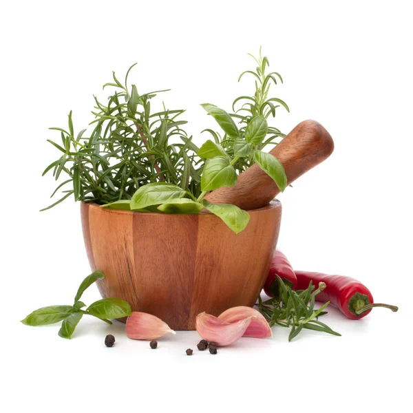 Fresh flavoring herbs and spices in wooden mortar — Stock Photo, Image