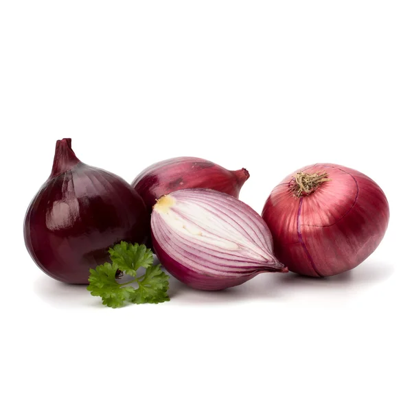 Red sliced onion and fresh parsley still life — Stock Photo, Image