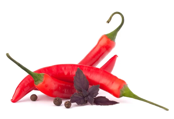 Peperoncino rosso caldo o peperoncino e foglie di basilico nature morte — Foto Stock