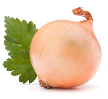 soğan sebze ampul ve maydanoz yaprakları natürmort