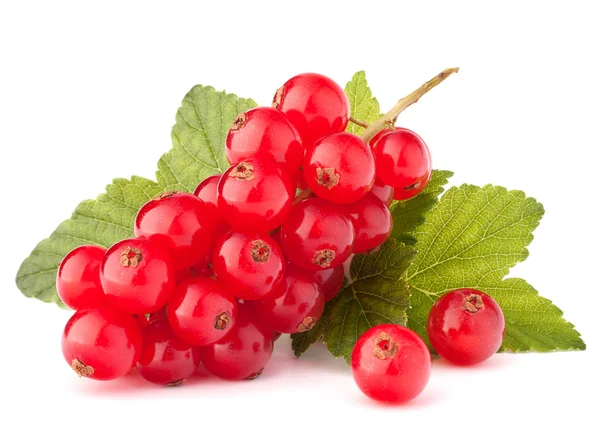 Red currants and green leaves still life — Stock Photo, Image