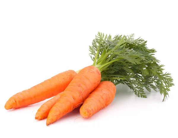 Zanahoria vegetal con hojas — Foto de Stock