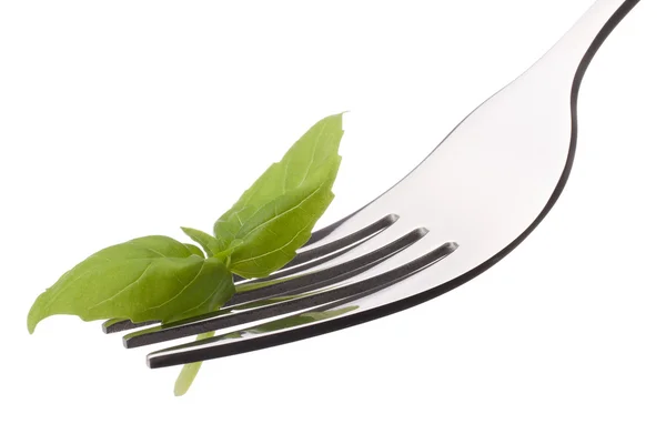 Fresh basil leaf on fork isolated on white background cutout. H — Stock Photo, Image