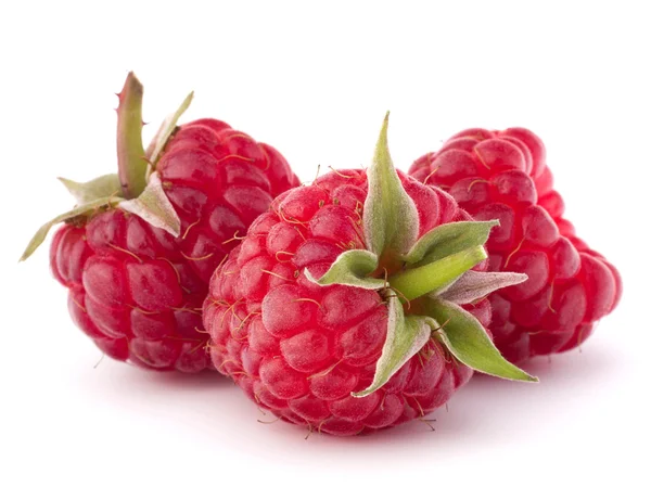 Reife Himbeeren — Stockfoto