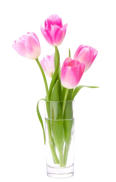 하얀 배경에 고립 된 꽃병 속의 분홍빛 튤립 꽃다발 — 스톡 사진