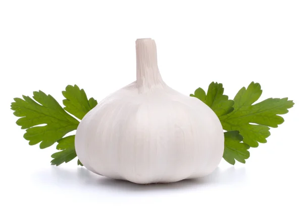 Garlic bulb — Stock Photo, Image