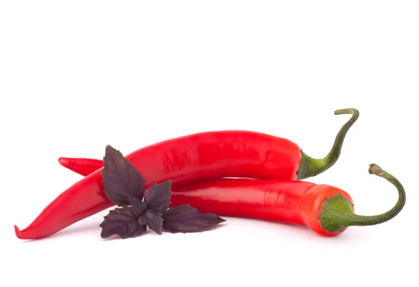 红辣椒或辣椒和罗勒叶静物 — 图库照片