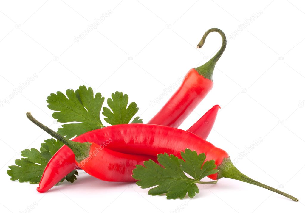 Hot red chili or chilli pepper and parsley leaves still life