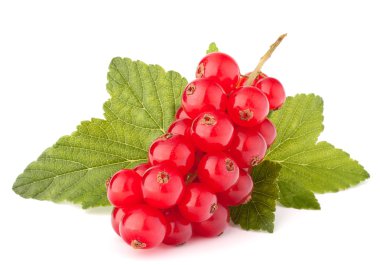 Kırmızı kuş üzümü ve yeşil yaprakları natürmort