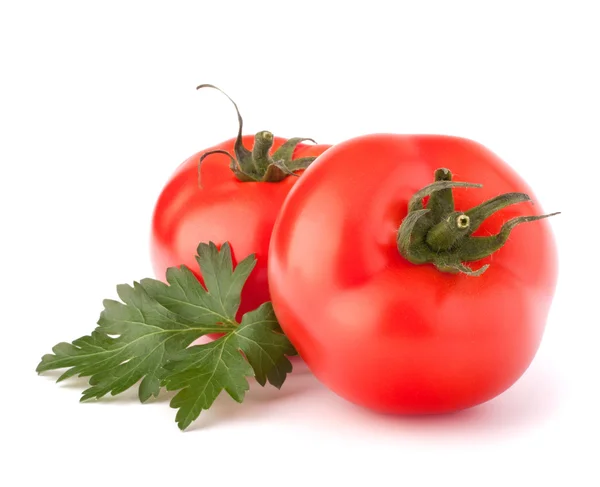 Dos verduras de tomate y perejil dejan bodegón — Foto de Stock