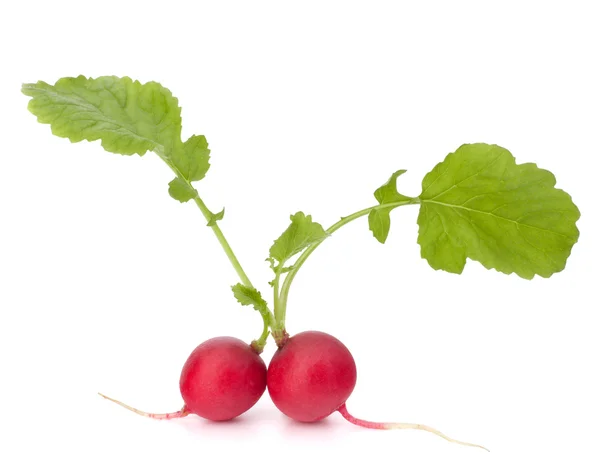 Small garden radish with leaves — Stock Photo, Image