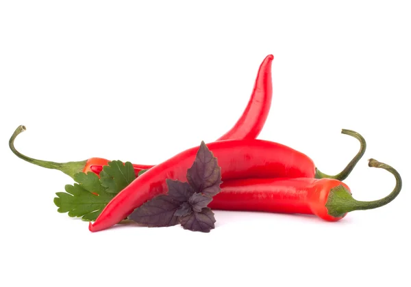 Varm röd chili eller Chili peppar och örtkryddor lämnar fortfarande l — Stockfoto