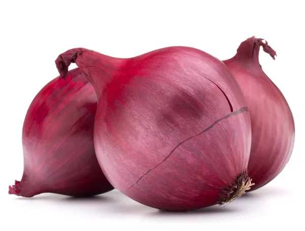 Red onion bulb — Stock Photo, Image