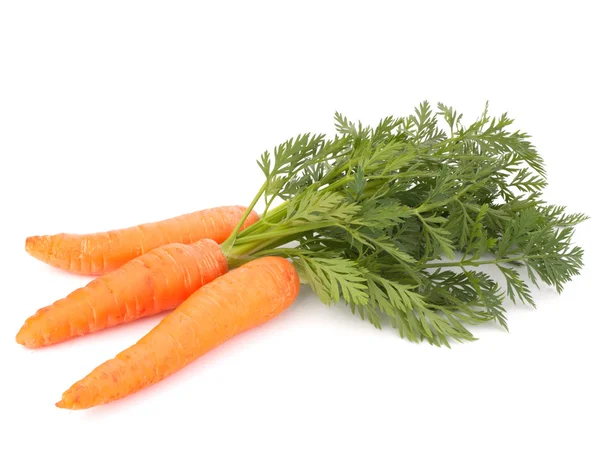 Carrot vegetable with leaves — Stock Photo, Image