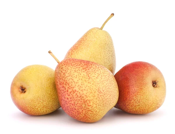 Frutos maduros de pera — Foto de Stock