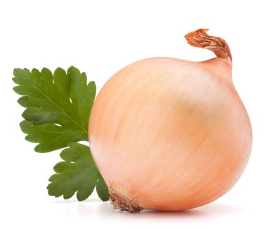 soğan sebze ampul ve maydanoz yaprakları natürmort