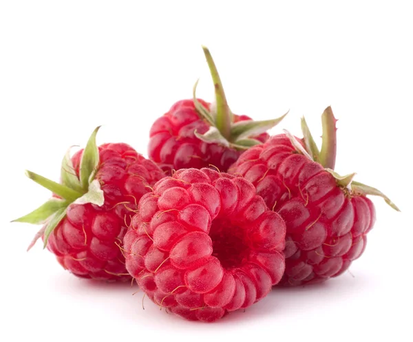 Reife Himbeeren — Stockfoto