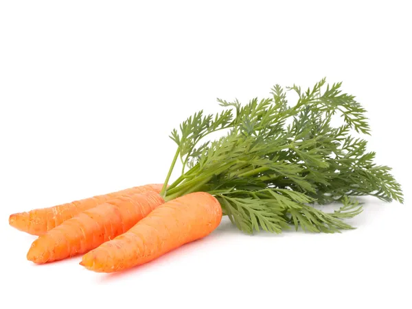 Carota vegetale con foglie — Foto Stock