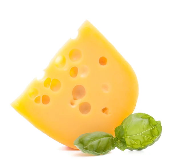 Hojas de queso y albahaca — Foto de Stock
