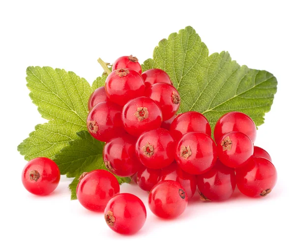 Rote Johannisbeeren und grüne Blätter Stillleben — Stockfoto